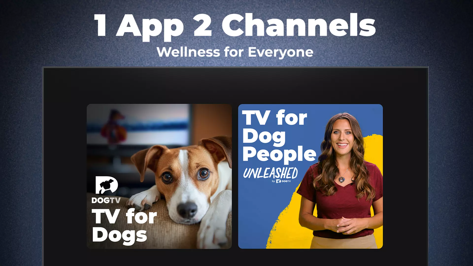 Stream DOGTV for a Year or Enjoy a Free Month