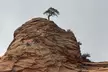 Discover the scenic beauty of Zion, Bryce, Antelope, & More w/ Sunrise Voyage Tour USA (Up to 0% Off) - Second Medium