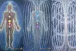 Lymphatic Drainage Massage, Aromatherapy, Guided Visualization and more!
(Up to 30% Off)


 - Second Medium