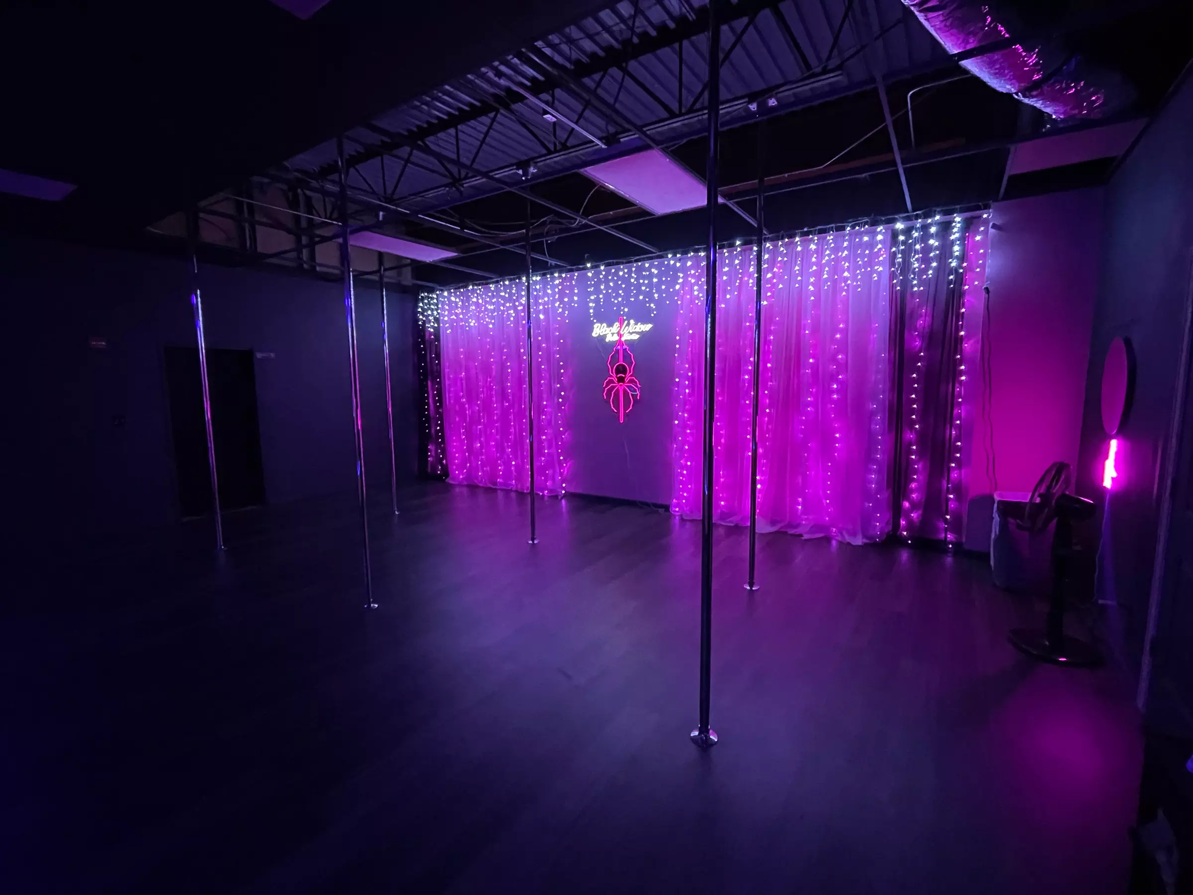 Up to 13% Off on Dance Class at Black Widow Pole Studio - Primary Image