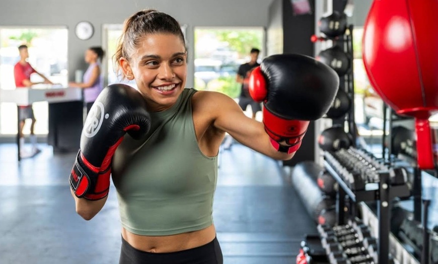 Image 1: Unleash Your Inner Champion: Knockout Training Awaits!