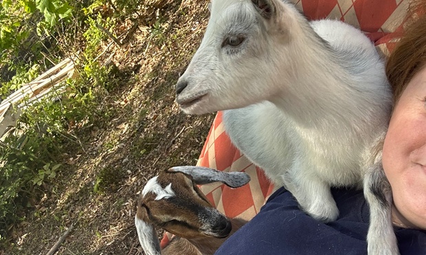 What to expect media