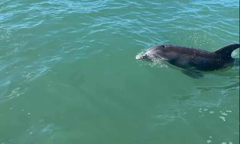 Thrilling Jet Ski Rentals & Relaxing Beach Day Packages in Fort Myers Beach