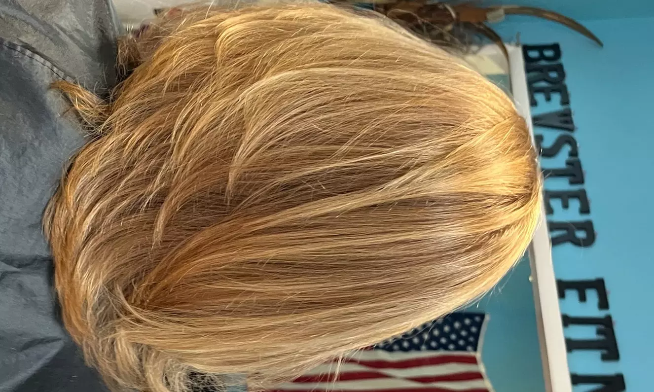 Pamper Yourself: Hair Cut with Optional Blow Dry and 1 Hair Treatment