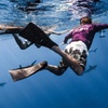 Image 6: Thrilling Open-Water Shark Dive Tour for One, Two, or Six People