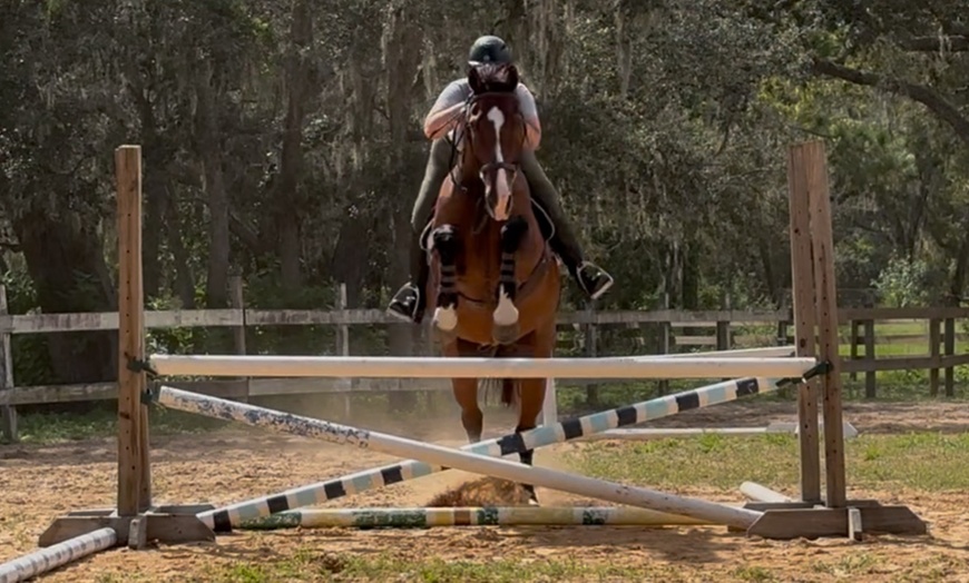 Image 3: Up to 20% Off on Horse Back Riding at Crosspoint Equestrian