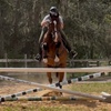 Image 3: Up to 20% Off on Horse Back Riding at Crosspoint Equestrian