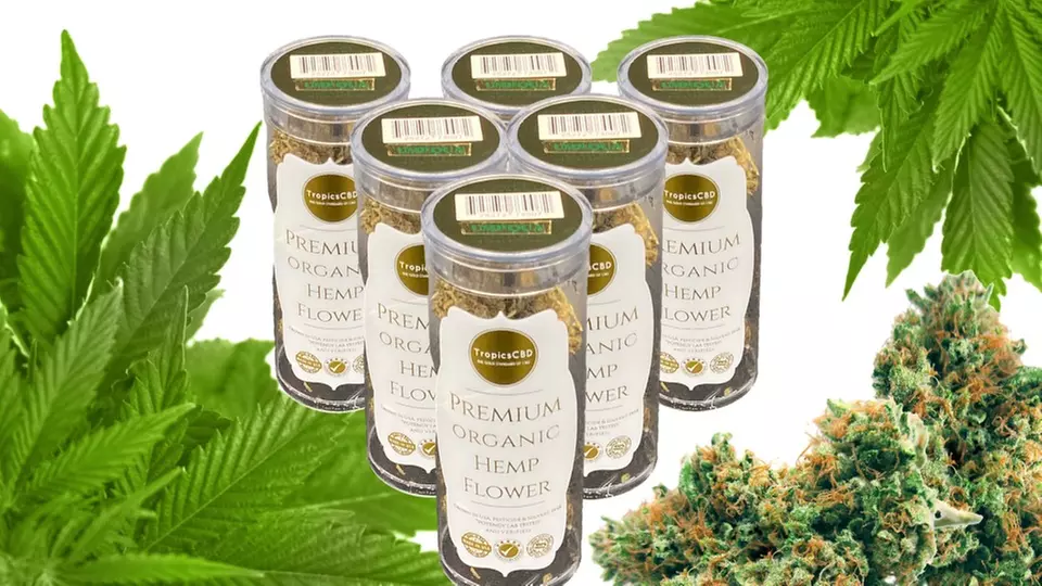 Up to 80% Off Organic CBD and Hemp Flower Products at Tropics CBD - Primary Image