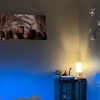 Image 5: Organic/Luxury Head Spa w/Massage on Neck & Scalp +Mini-Facial for 1-2