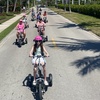Image 7: 90 Minute Guided Electric Trike Tour of Downtown Naples, Florida! 
