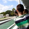 Image 3: Explore Iconic Miami Landmarks Tour+ Millionaire’s Row Cruise for 1, 2, 3, or 4 (Up to 45% Off)