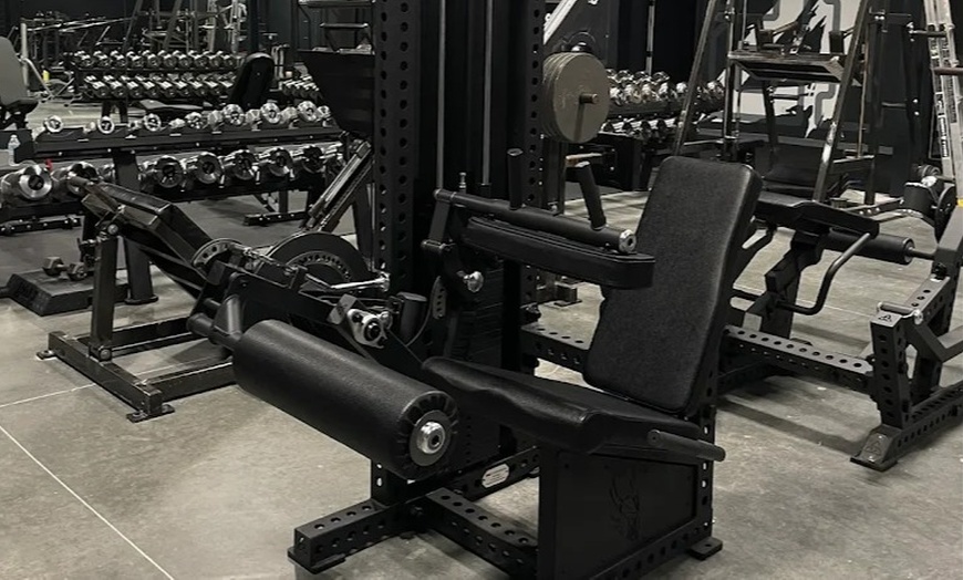 Image 9: Personalized 1:1 Training Sessions at 12 Circle Fitness