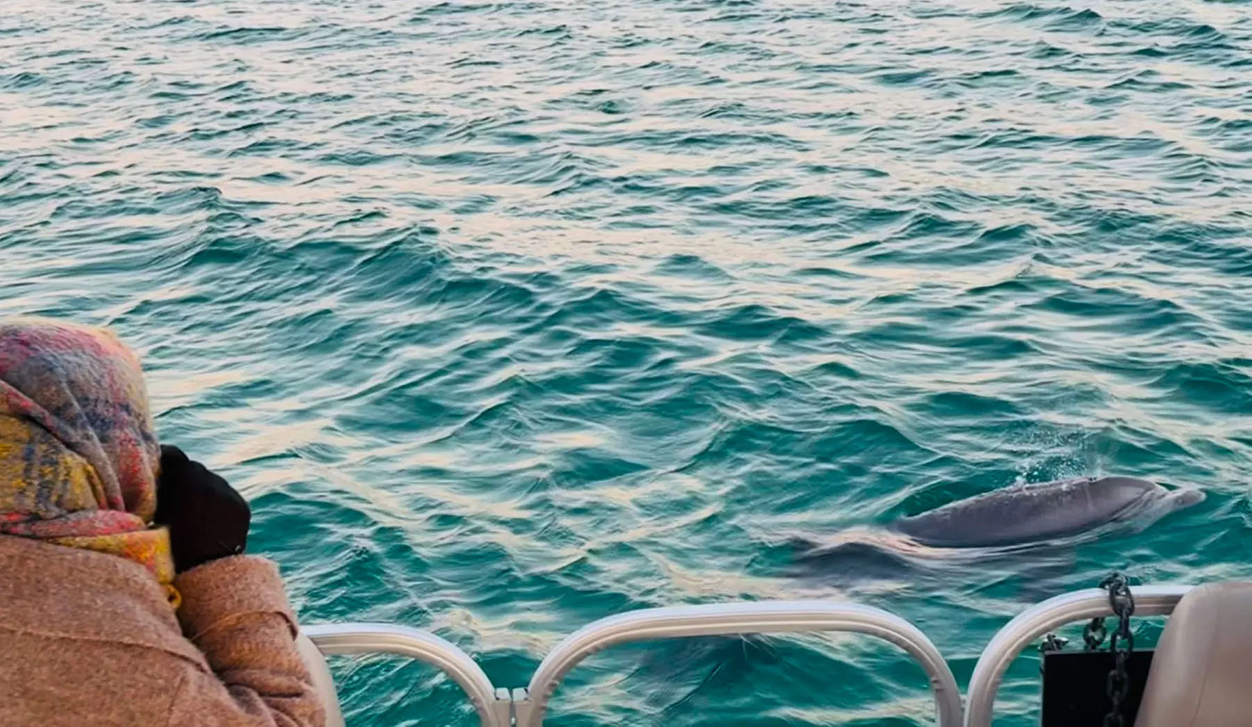 Dolphin & Sunset Cruises Destin Bay