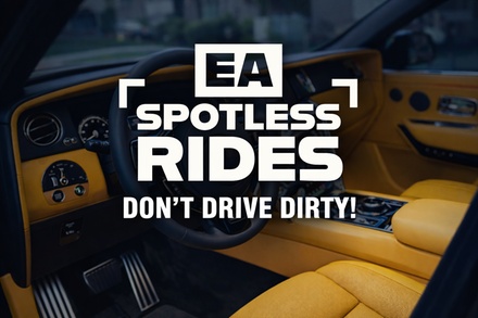 Exterior Mini Detail — Mobile Service - EA Spotless Rides