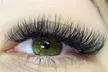 Up to 42% Off on Eyelash Extensions at Lash story - Second Medium