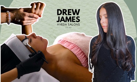 AVEDA Mini Facial & Blow Dry Styling with Bond Building & Strengthening Refresh - Drew James Aveda Salon - Pembroke Pines