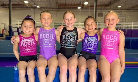 Ages 2-4 (Pre School Gymnastics) Free Trial Class, then 1 month 50% off! - Accel Gymnastics