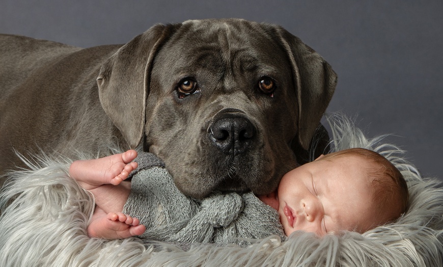 Image 1: Newborn Photoshoot With Prints