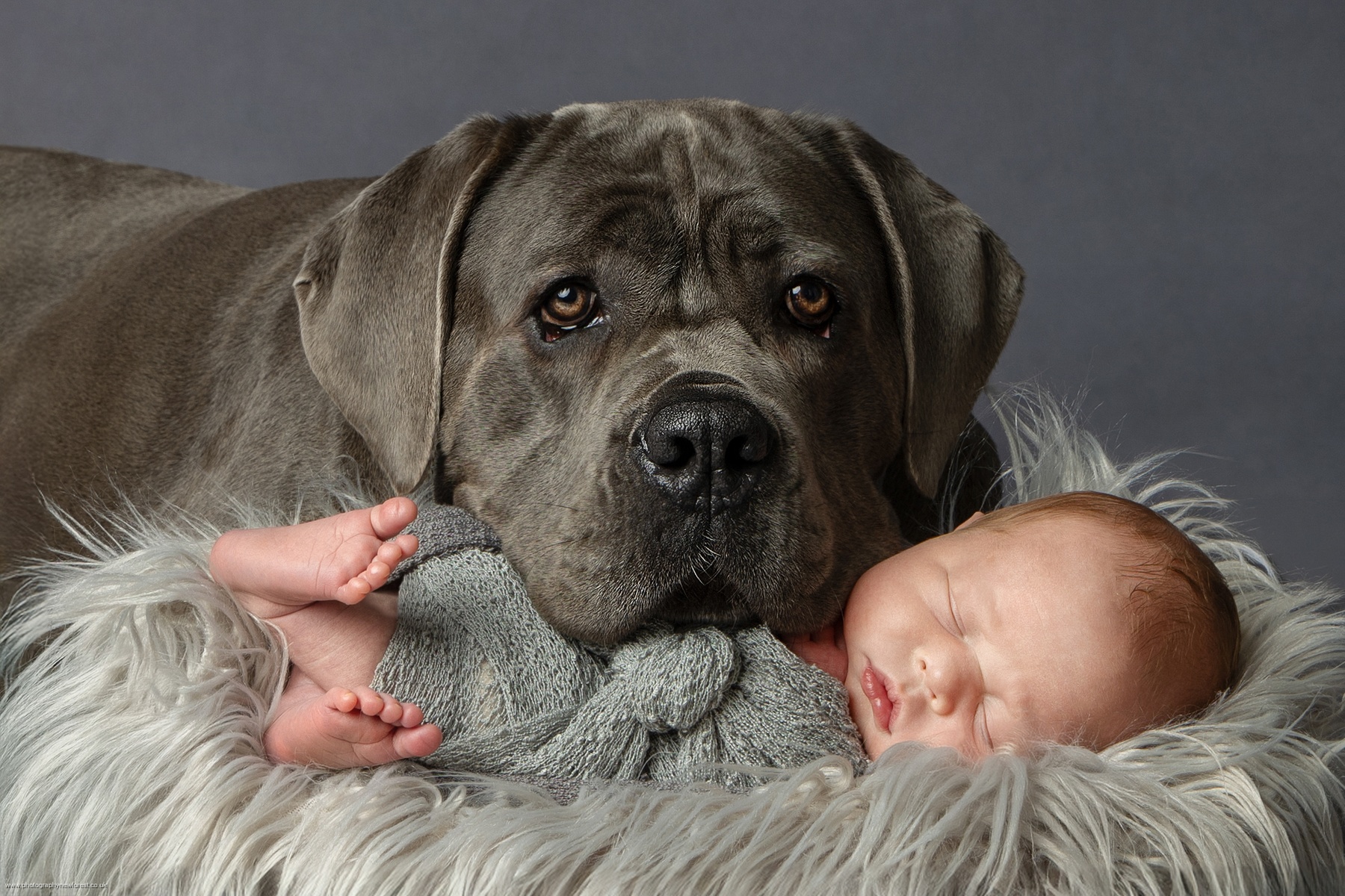 Newborn Photoshoot With Prints
