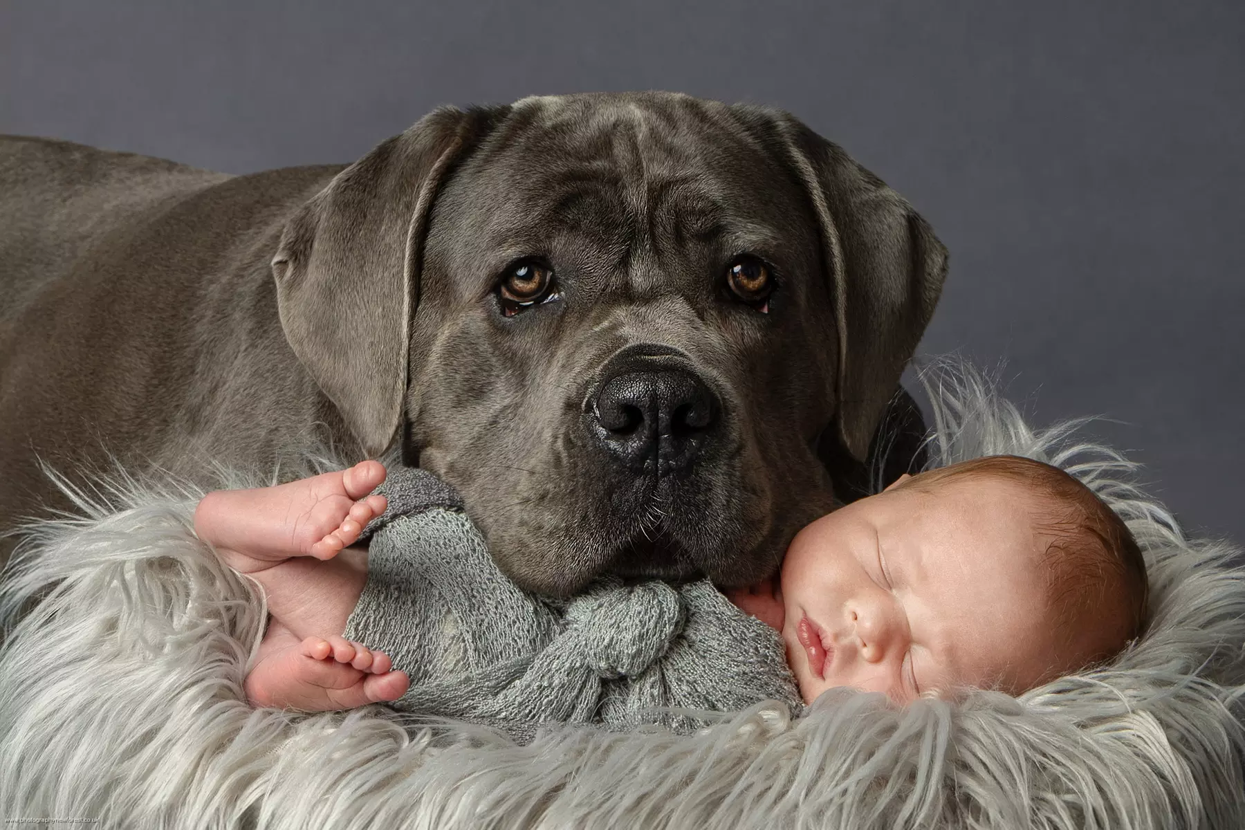 Newborn Photoshoot With Prints