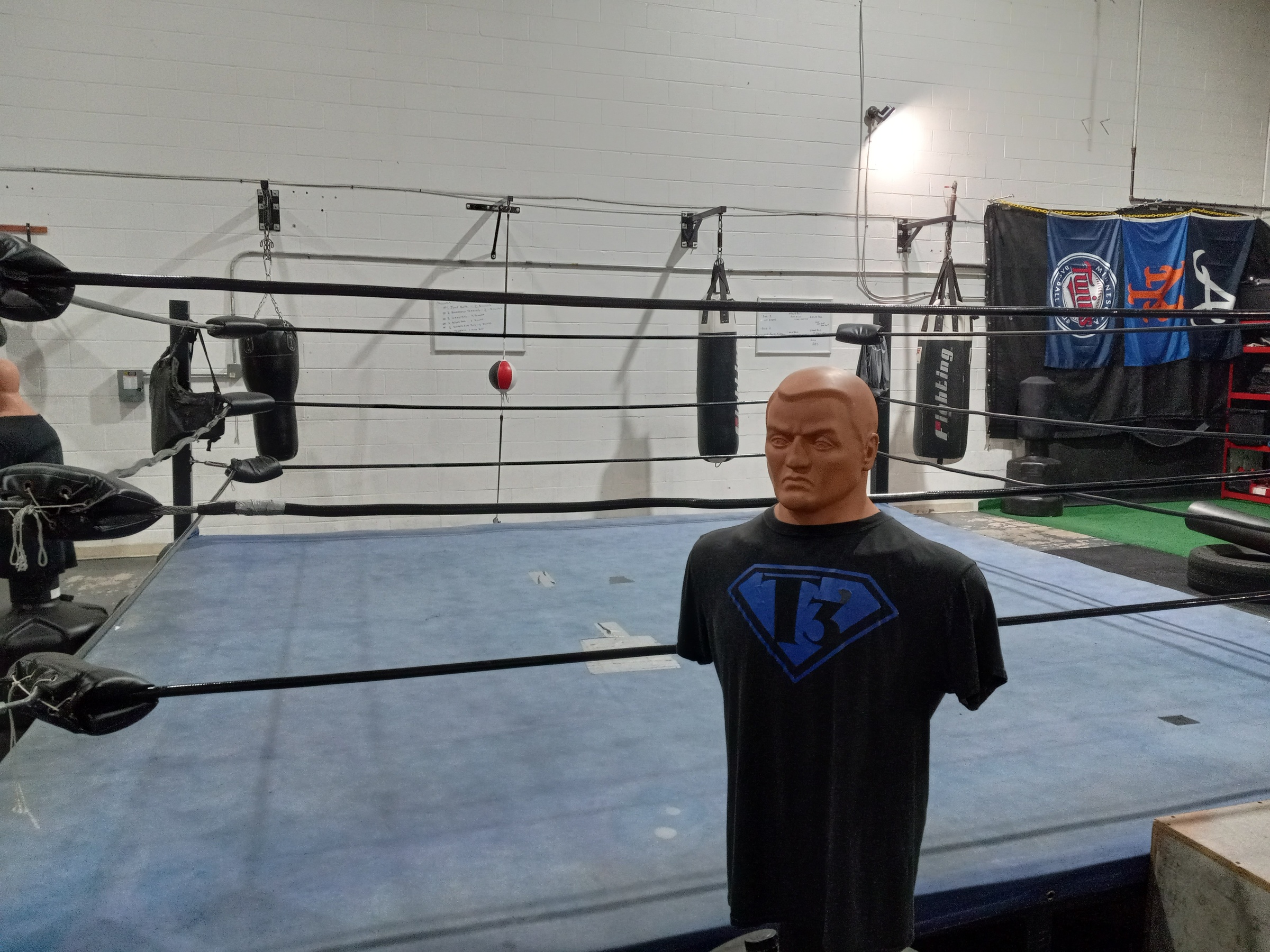 Personalized Boxing Training for Ultimate Strength Gains!