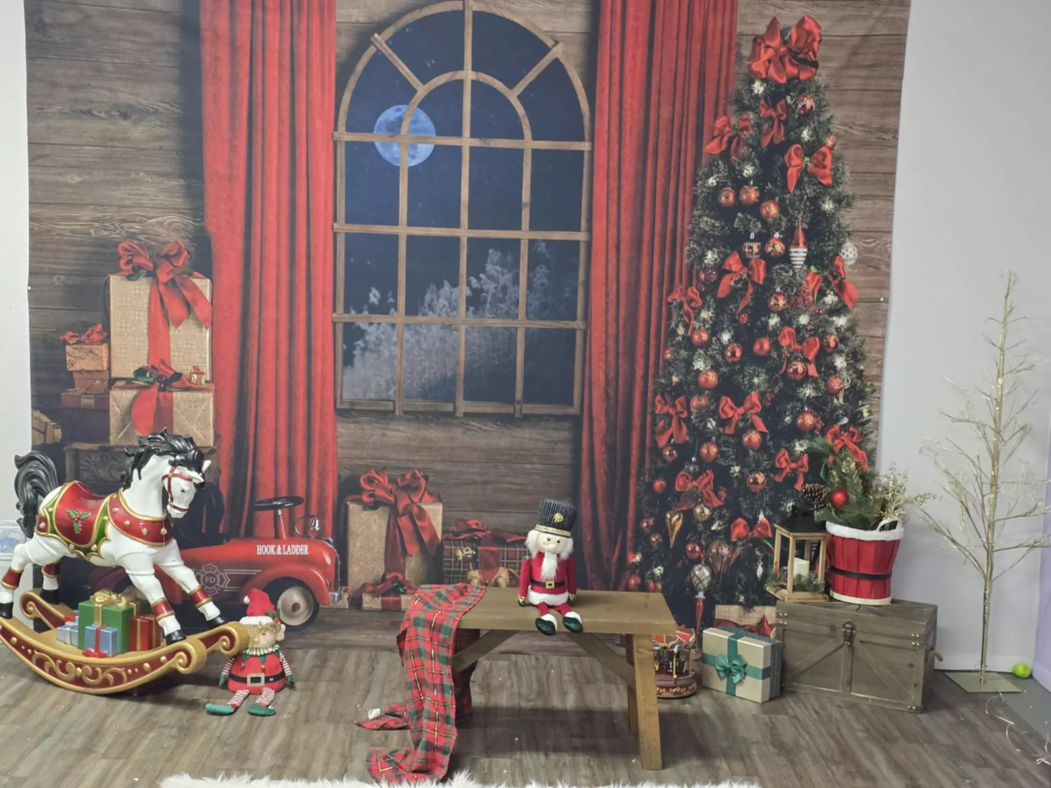 Christmas Mini Session & 7 Edited Images & Print Release