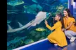 Double the Fun: Dubai Aquarium with Penguin Cove + Your Choice of Top Attraction - Image 4