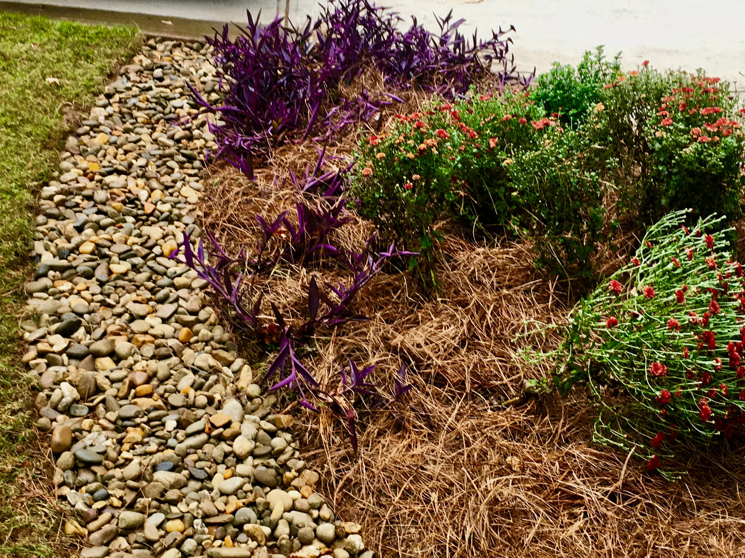 Up to 49% Off on Mulching Services at Hamfye - Primary Image