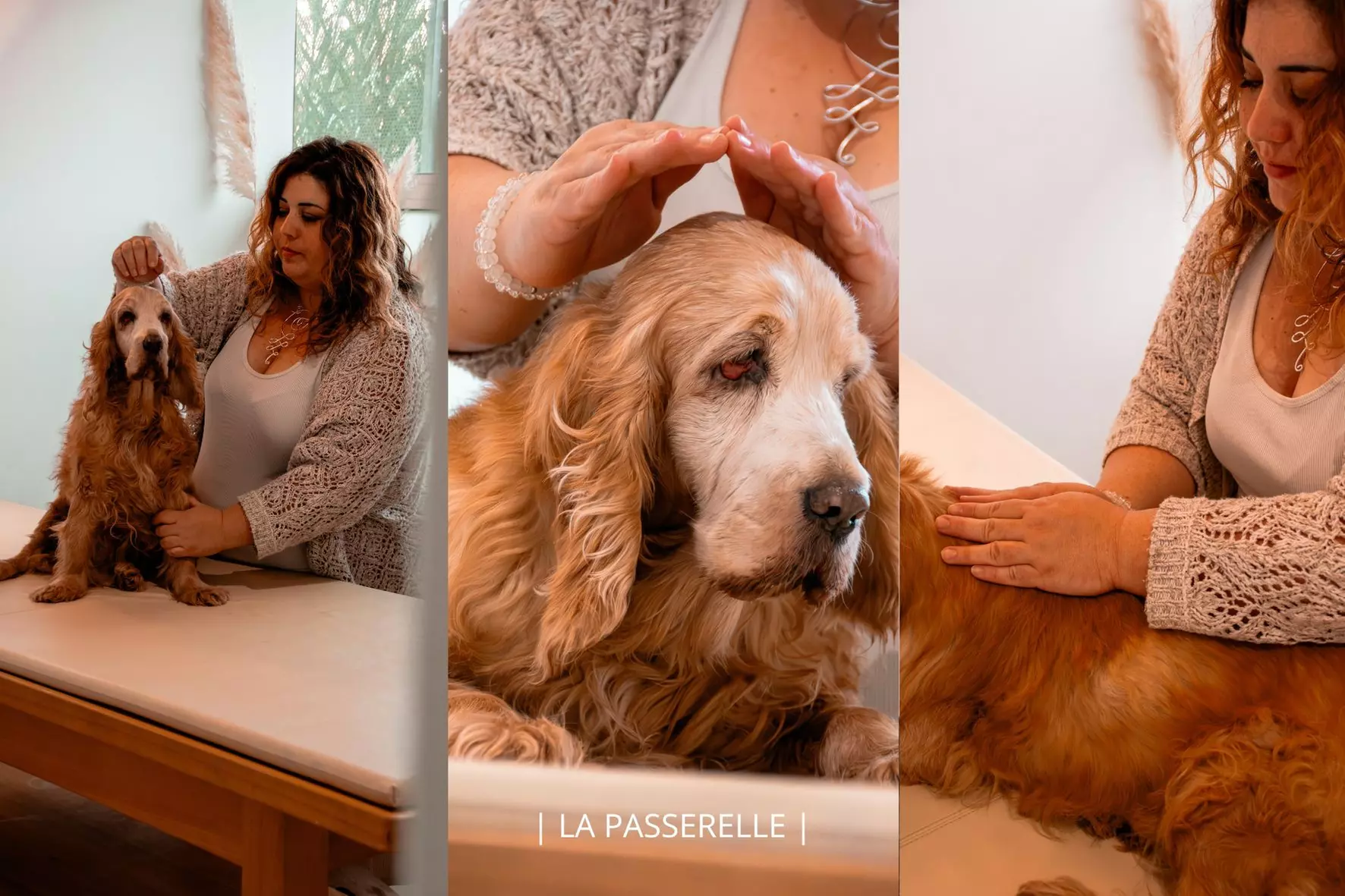 Soin Reiki animal ou communication animale avec La Passerelle