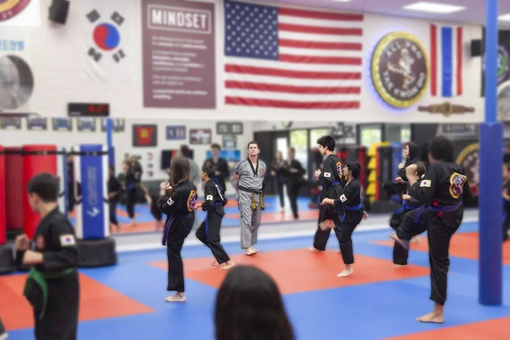 10 Days of Unlimited Tae Kwon Do Classes for One or Two Kids