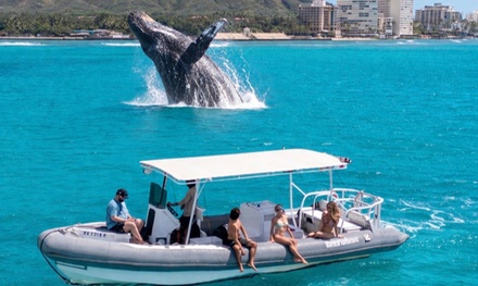 Private Waikiki Boat Charter – Create Your Own Ocean Experience - Honolulu Boat Charters - Honolulu, HI