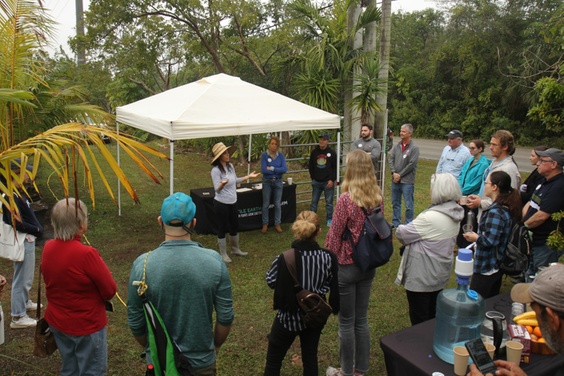 What to expect media