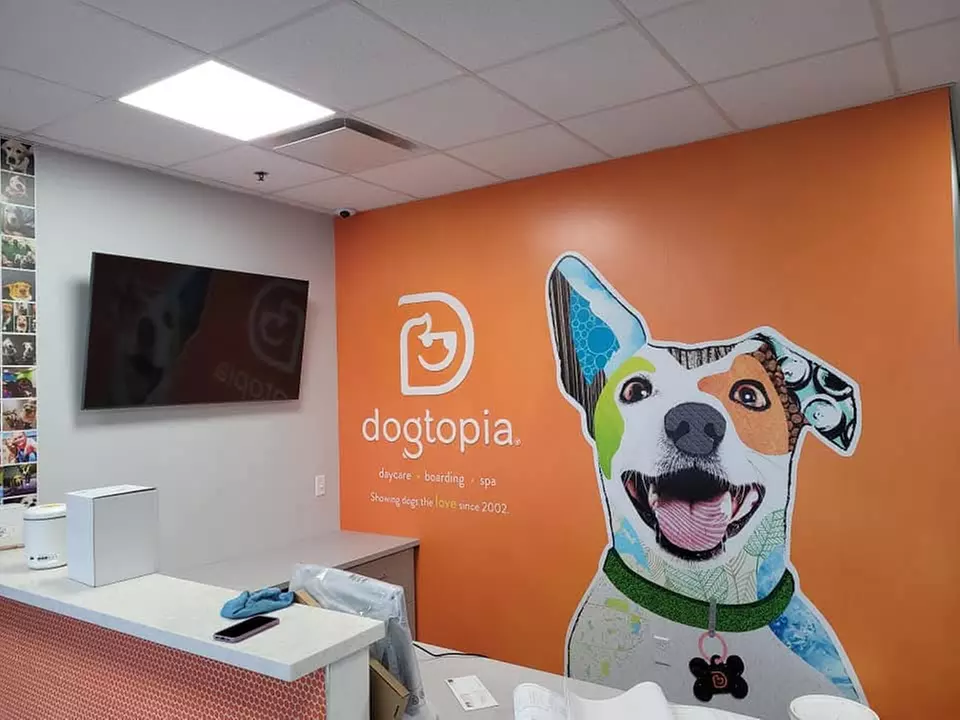 Front Door Paint, Interior Painting for One or Two Rooms, and More