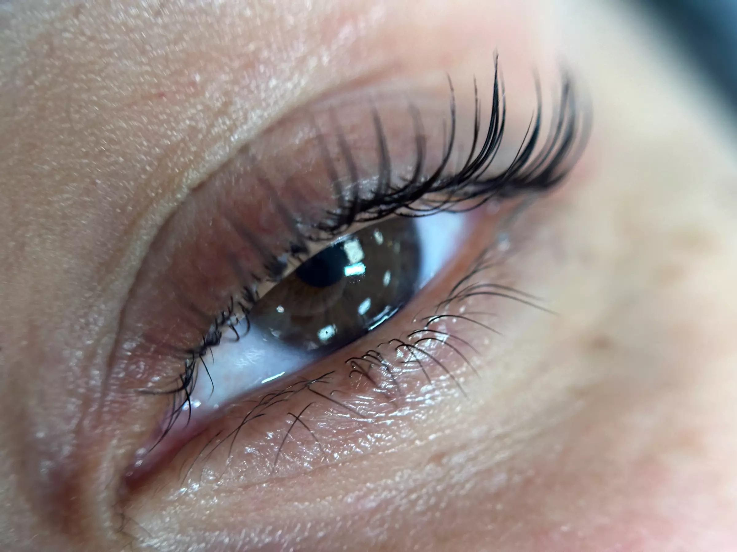 Get a Stunning One Eyelash Lift Treatment with/without Tint