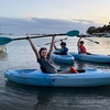 Image 6: Enjoy Sunset or Sunrise Kayaking Tours in Tampa Bay Area