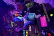 Up to 12% Off on Painting Party at Smash Art by Break and Create - Second Medium