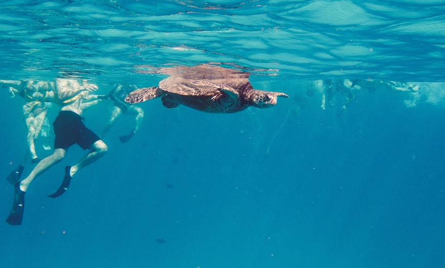 Image 8: Up to 40% Off Turtle Canyon Snorkel Sail – Waikiki Adventure