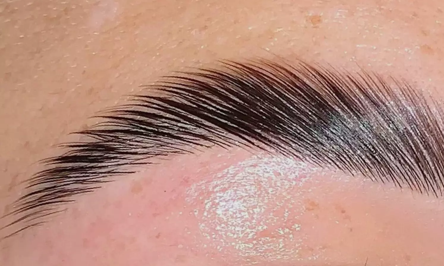 Transform Your Brows with Eyebrow Lamination with Tinting 