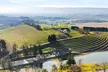 Sip Seasonally – Wine, Craft Beer & Slushies for up to 20% Off at Blue Mountain Vineyards & Cellars - Second Medium