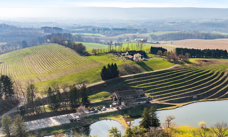 Image 6: Sip Seasonally – Wine, Craft Beer & Slushies for up to 20% Off at Blue Mountain Vineyards & Cellars