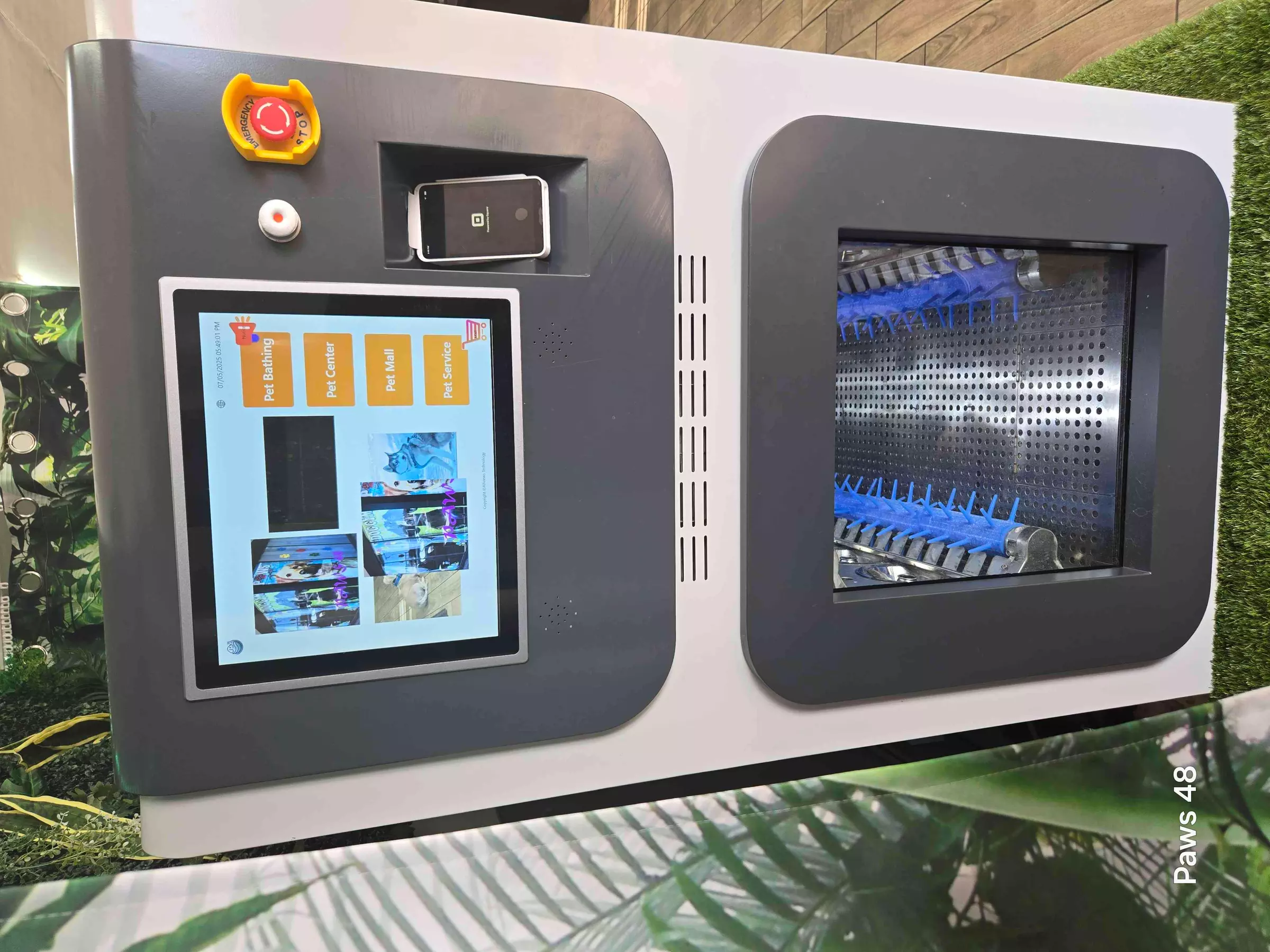 Up to 60% Off on Pet Grooming at Paws 48