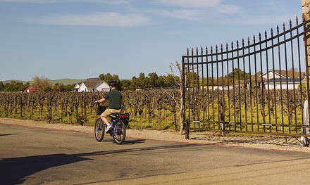 E-Bike Rental up to Six Hours for Four - Pedego Electric Bikes Livermore