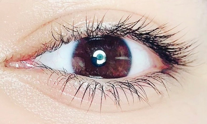 Image 3: Up to 37% Off on Eyelash Tinting at Not Your Basic Chic