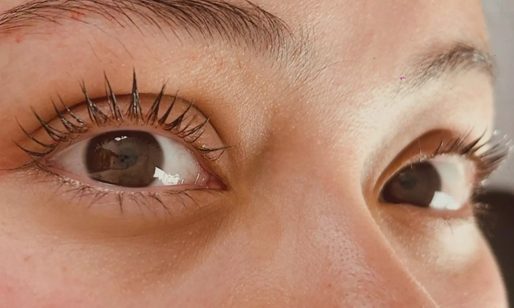 Choice of Eyelash & Brows Services and Packages