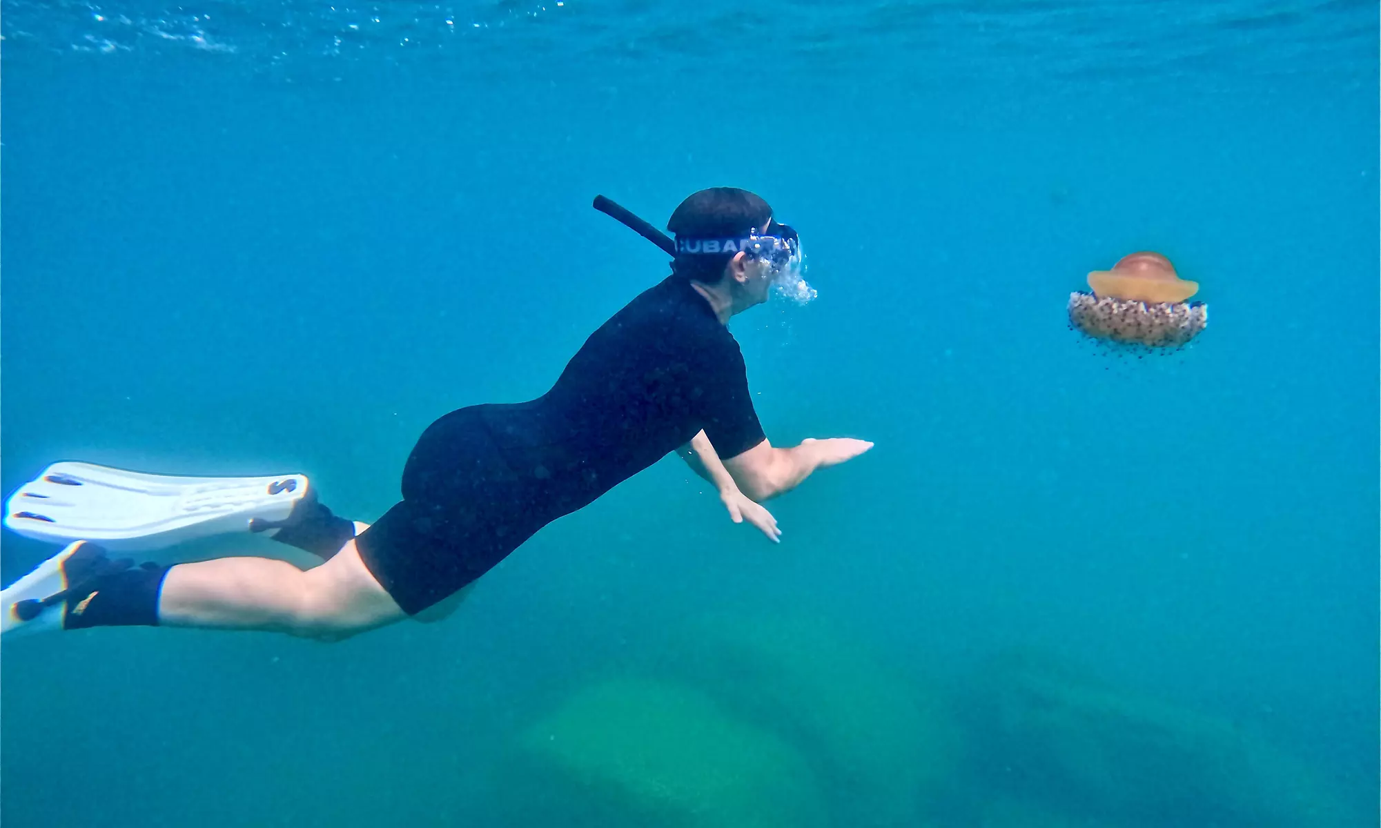 Experiencia de 2 horas de snorkel para 1 a 4 personas