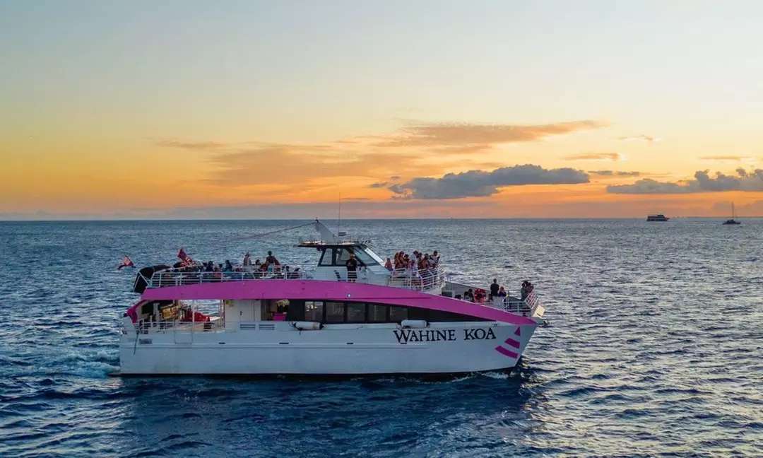 Two-Hour Whale Watching Cruise at Waikiki Snorkel Company
