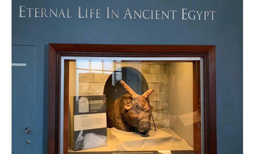 Image 2: Uncover Egyptian Origins of Washington with a Private Guide