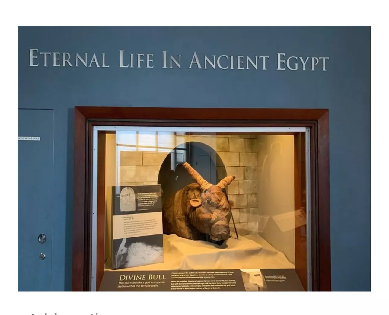 Uncover Egyptian Origins of Washington with a Private Guide