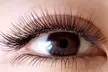 Up to 64% Off on Eyelash Extensions at Lash bar - Second Medium
