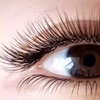 Image 4: Up to 60% Off on Eyelash Extensions at Lash bar